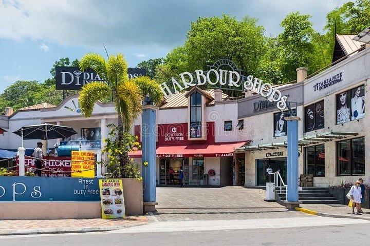 Visite privée à Ocho Rios et ses environs