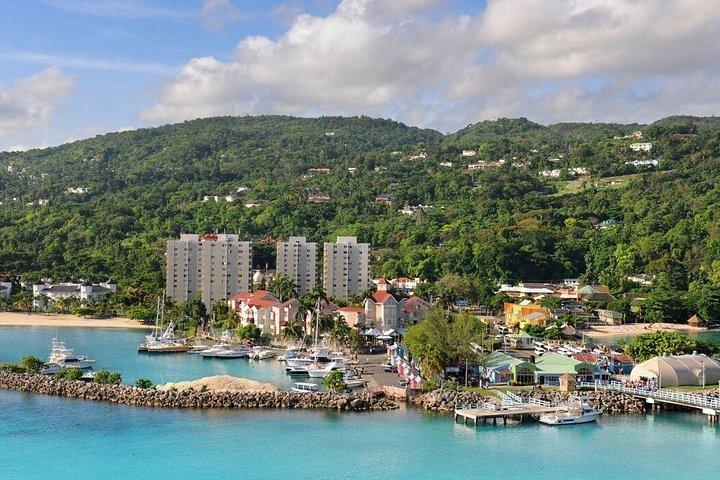 Visite privée à Ocho Rios et ses environs