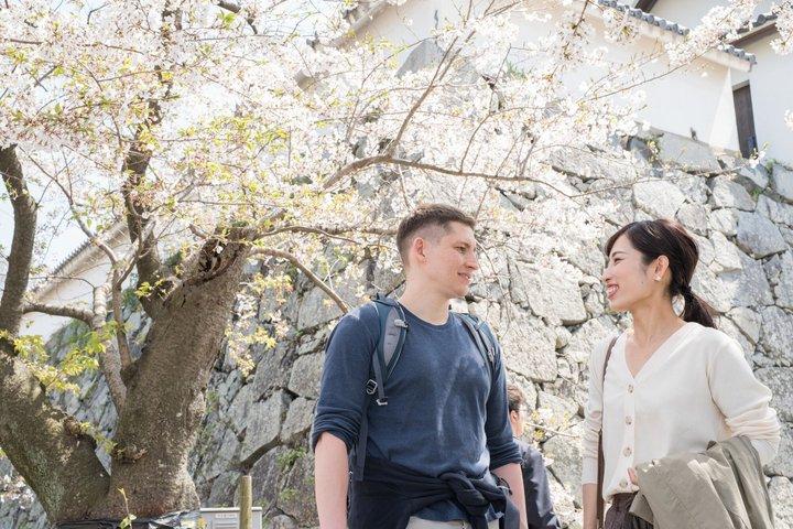Templi e cultura di Fukuoka a piedi Siti sacri di Hakata