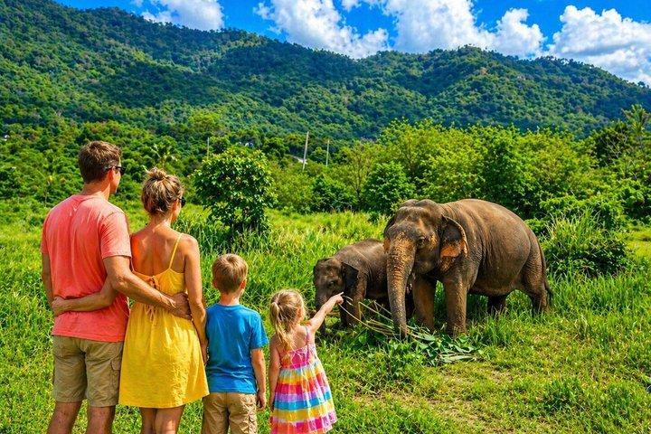 Elephant Nature Care, le plus grand sanctuaire d'éléphants de Koh Samui