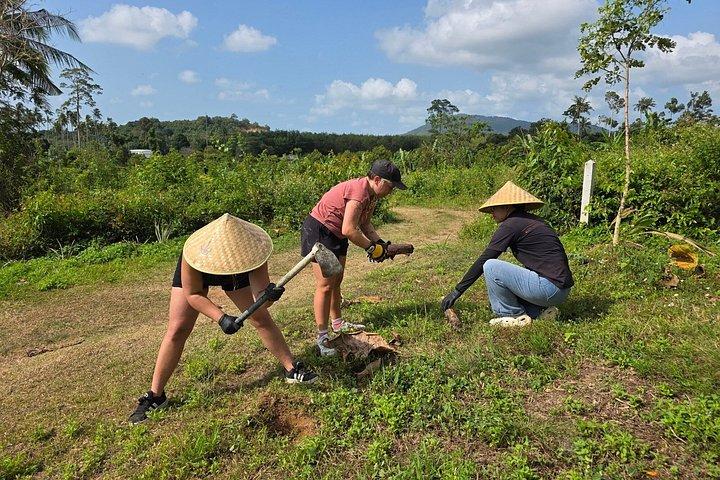 サムイ島：最大の象の保護区、エレファントネイチャーケア