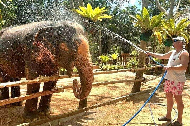 サムイ島：最大の象の保護区、エレファントネイチャーケア