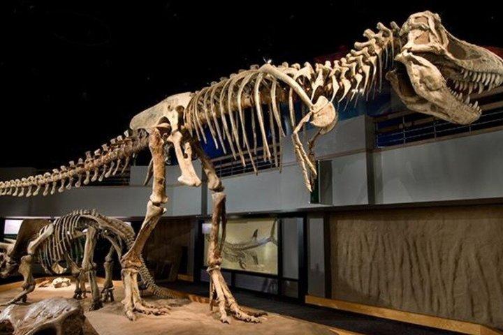Hoodoos and Badlands Guided Day Tour with Museum Entry