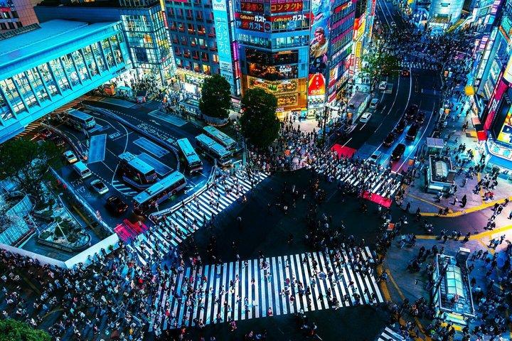 Tokyo privat tur med anpassad resplan och Engelska Driver Guide