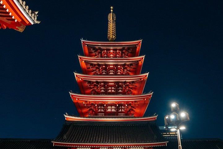 Tokyo privat tur med anpassad resplan och Engelska Driver Guide