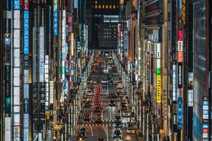 Tokyo privat tur med anpassad resplan och Engelska Driver Guide