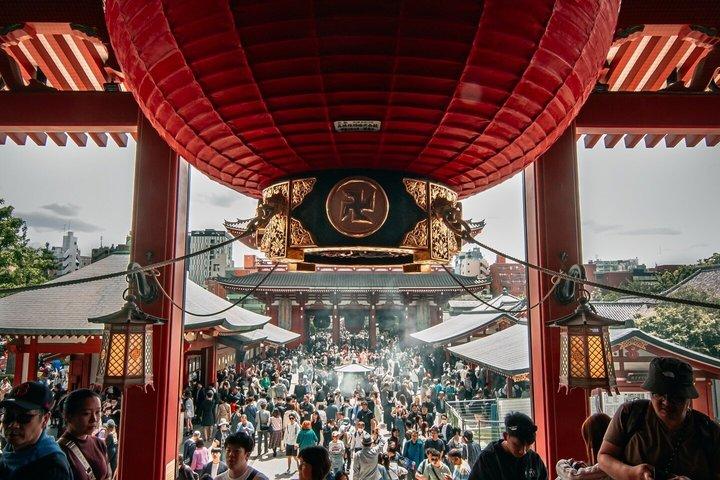 Tokyo privat tur med anpassad resplan och Engelska Driver Guide