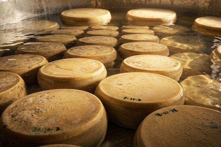 Do leite às rodas: passeio de parmesão e degustação em Parma