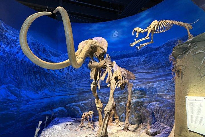 カルガリー発ロイヤルティレル博物館グループツアーバッドランズを探索