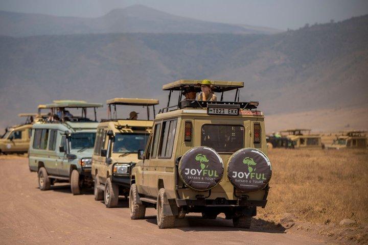 To dages budget gruppe camping safari til Tarangire og Ngorongoro