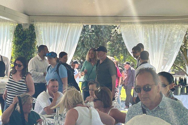 Vesuvius Experience Fast Track Tour with Easy Lunch