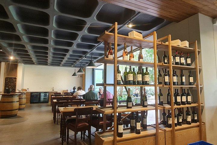 Table Mountain and Kirstenbosch with Constantia Wine Tasting