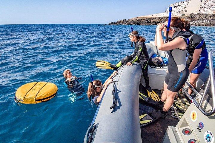 Tenerife Guided Snorkeling Tour com Equipamento