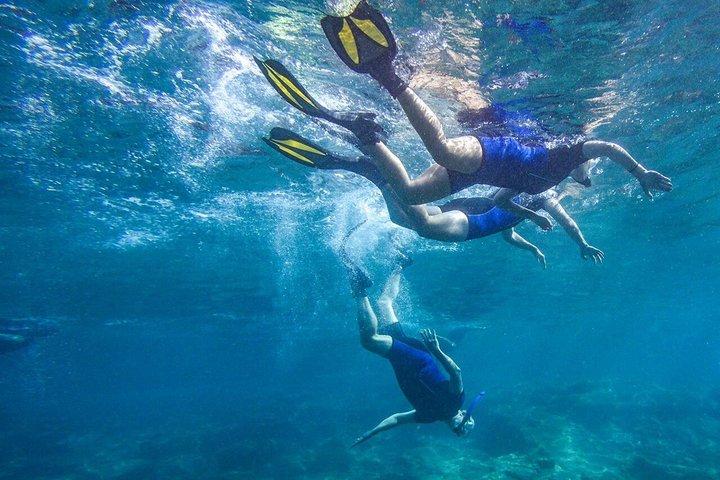 Tenerife Guided Snorkeling Tour com Equipamento