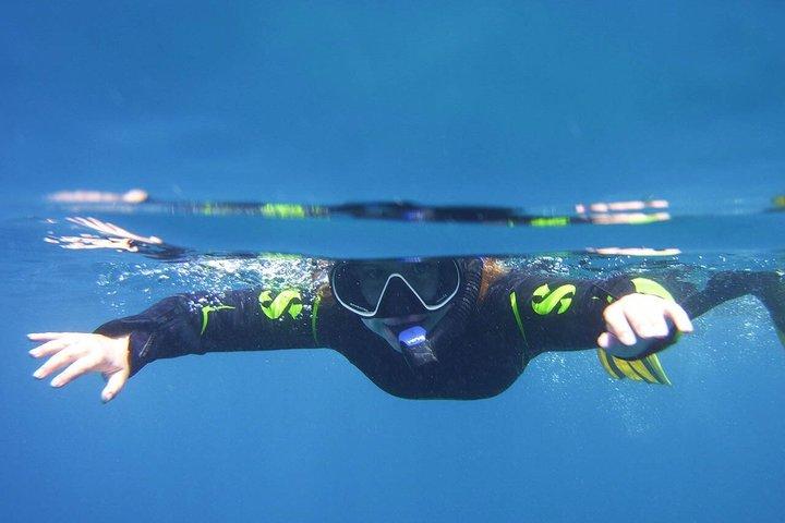 Tenerife Guided Snorkeling Tour com Equipamento