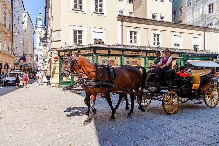 ウィーンからハルシュタット、ザルツブルク、アルプス、湖への日帰り旅行