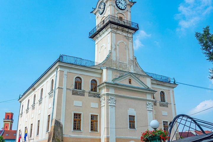 Vienna : gita di un giorno a Budapest e Bratislava