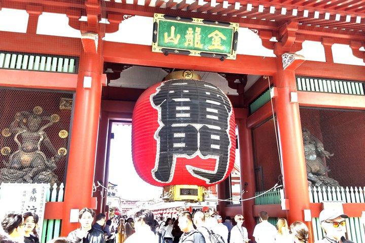 Private Day Tour of Tokyo Shrine for Oharai Yakubarai