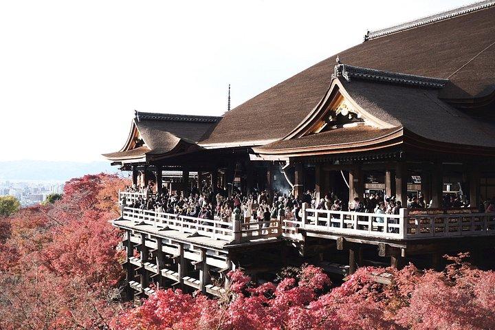 京都の見どころ 京都駅からの少人数ミニバンツアー