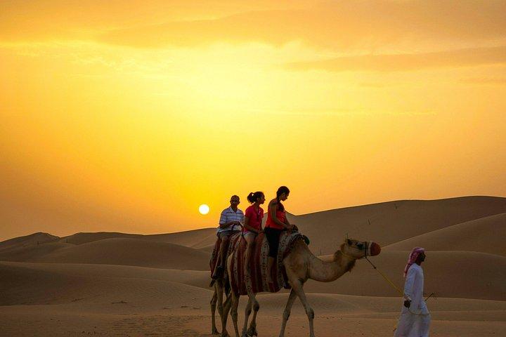 Privat Abu Dhabi Layover Tour : Flexibel tid och flygplatstransfer
