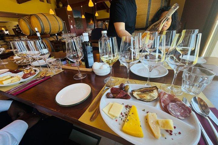 Private Mount Etna and Wine Tasting tour from Taormina or Catania
