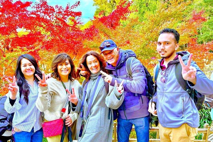 京都フルコースツアー：必見スポット＆隠れた名所10選