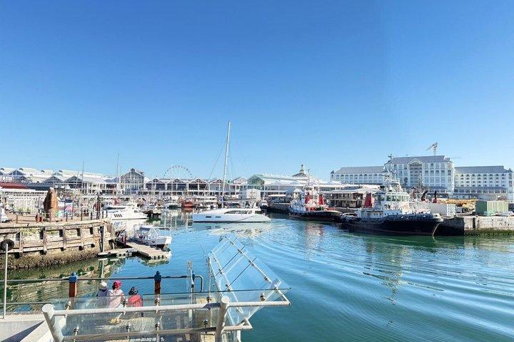 Private Robben Island, Kirstenbosch and Wine Tasting Tour