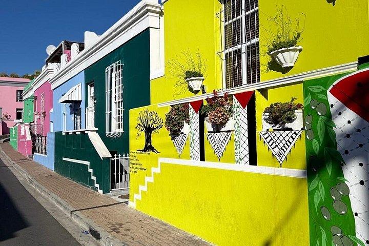 Cape Point, Boulders Beach Penguin Colony & Table Mountain Tour