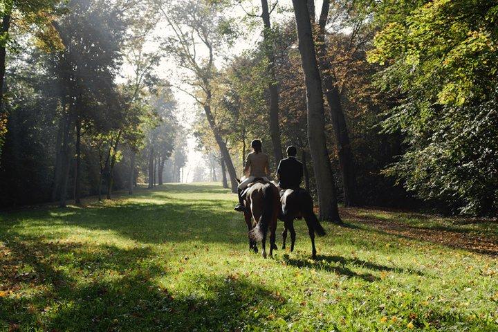 Versailles ridetur med transfer fra Paris