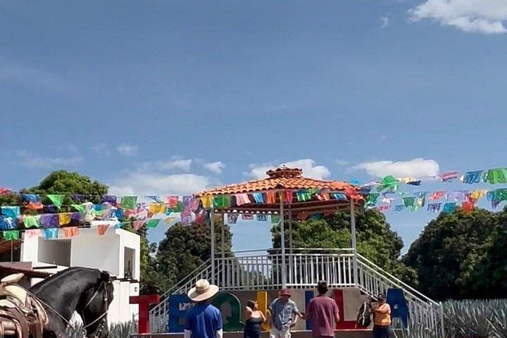 2 Days Tequila Road Trip from Puerto Vallarta