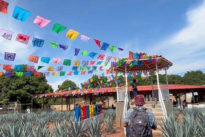 2 Days Tequila Road Trip from Puerto Vallarta