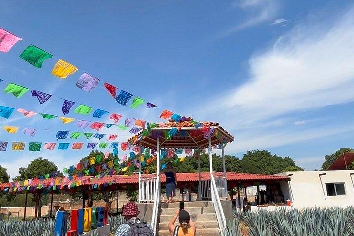 2 Days Tequila Road Trip from Puerto Vallarta