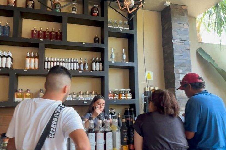 2 Days Tequila Road Trip from Puerto Vallarta