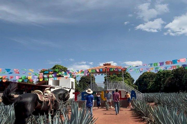 2 Days Tequila Road Trip from Puerto Vallarta