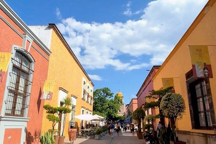 2 Days Tequila Road Trip from Puerto Vallarta