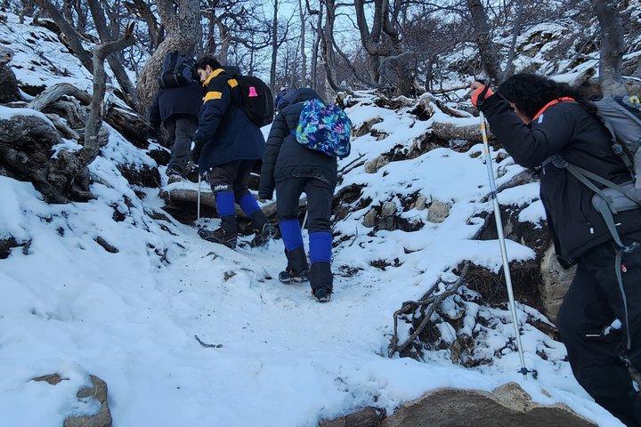 Small-Group Vinciguerra Glacier & Tempanos Lagoon Trek
