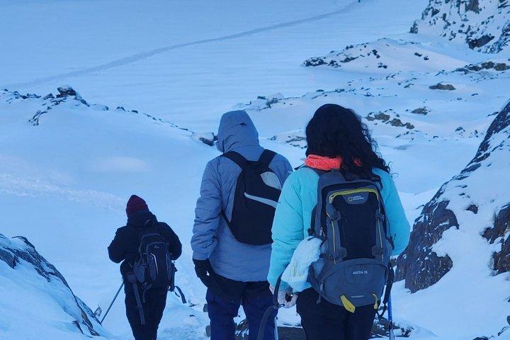 Small-Group Vinciguerra Glacier & Tempanos Lagoon Trek