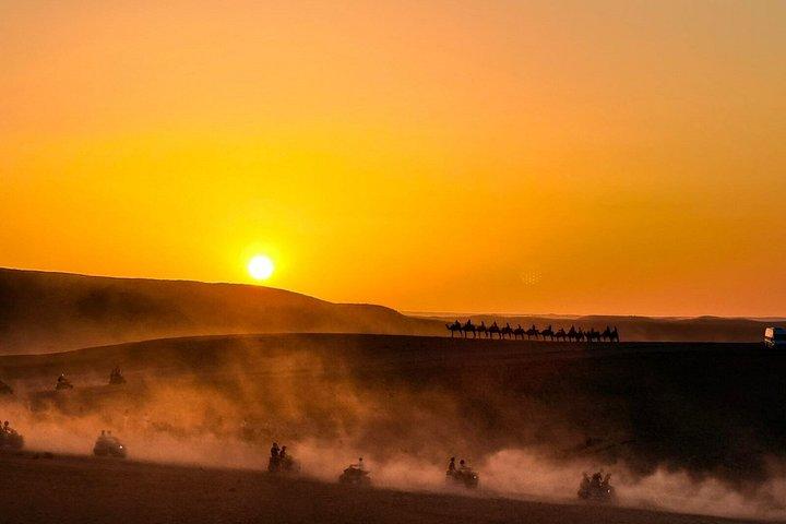 Marrakech : Quad, zonsondergang, dinershow & optionele kameelrit