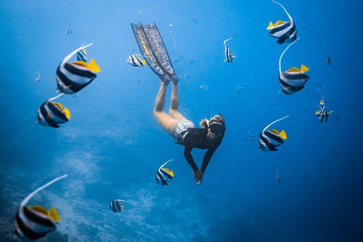 Hoteles de 5 Estrellas en Los Cabos 2 Bays