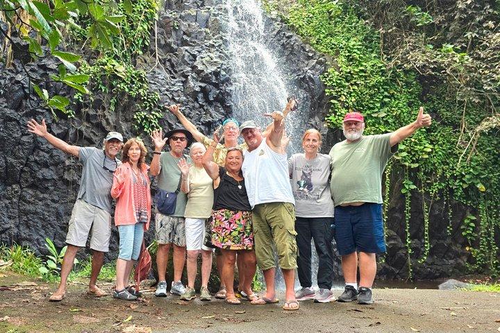 Piccolo gruppo condiviso mezza giornata Tahiti Tour Cascate e costa panoramica