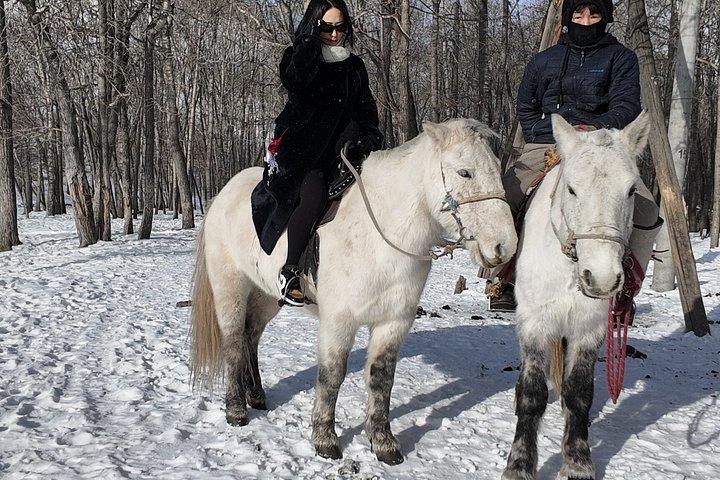 Private Transfers in Ulaanbaatar – Flexible & Reliable