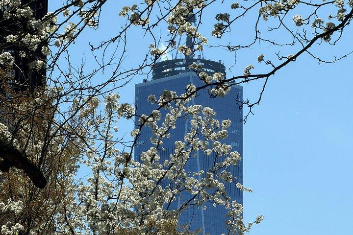プライベートソーホー、リトルイタリー、チャイナタウンツアー