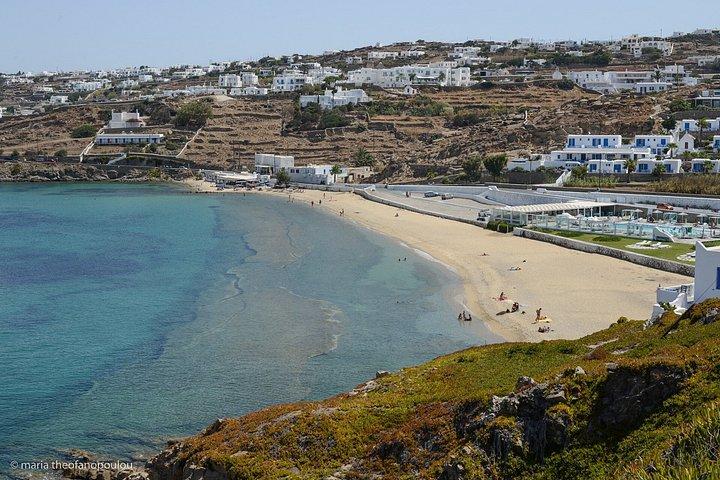 Your Local Guide to Mykonooos I Private Tours