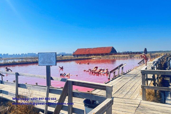 サニービーチからの塩湖と泥風呂エクスカーション