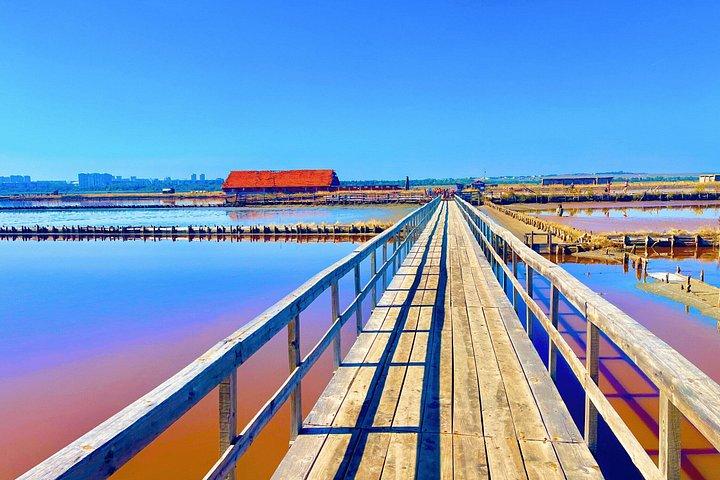 サニービーチからの塩湖と泥風呂エクスカーション