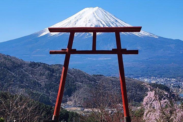 英語ドライバー付き富士山プライベートツアー