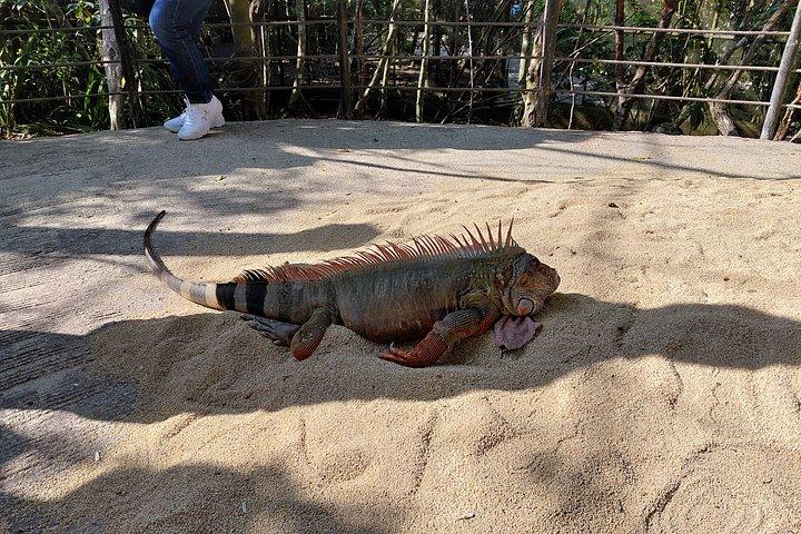 セブサファリアンドアドベンチャーパーク