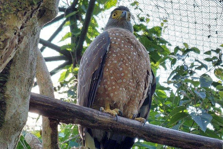 Cebu Safari och äventyrspark