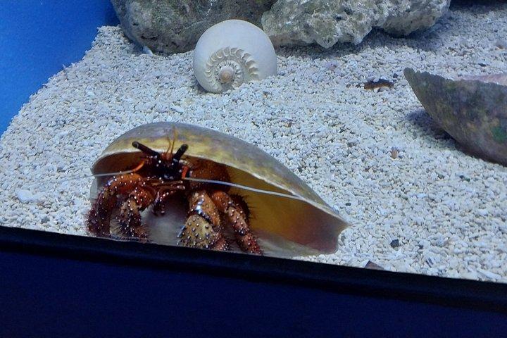 Cebu Ocean Park