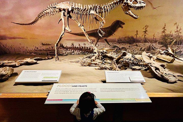 Drumheller Badlands Ultimate Day Tour - All-Inclusive Shared Tour